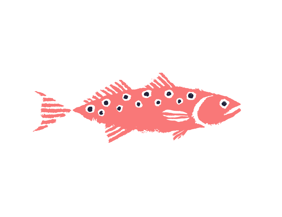 Island Boat Rentals